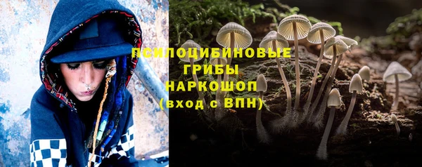 хмурый Армянск