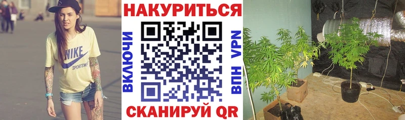 Конопля ГИДРОПОН Ивдель